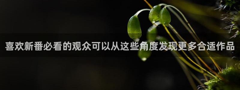 喵趣漫画更新列表：喜欢新番必看的观众可以从这些角度发现更多合适作品