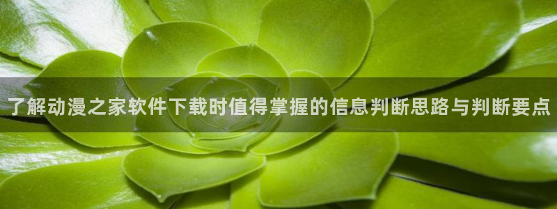 喵趣漫画本月推荐：了解动漫之家软件下载时值得掌握的信息判断思路与判断要点